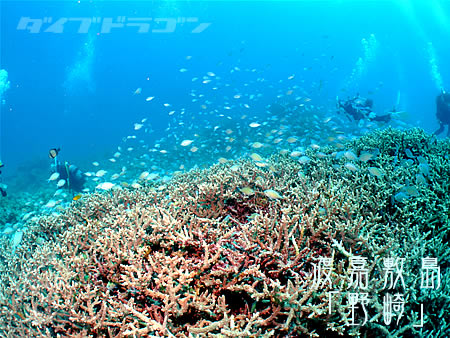 d0107725_21362922.jpg