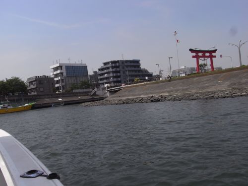 e0108126_1551881.jpg