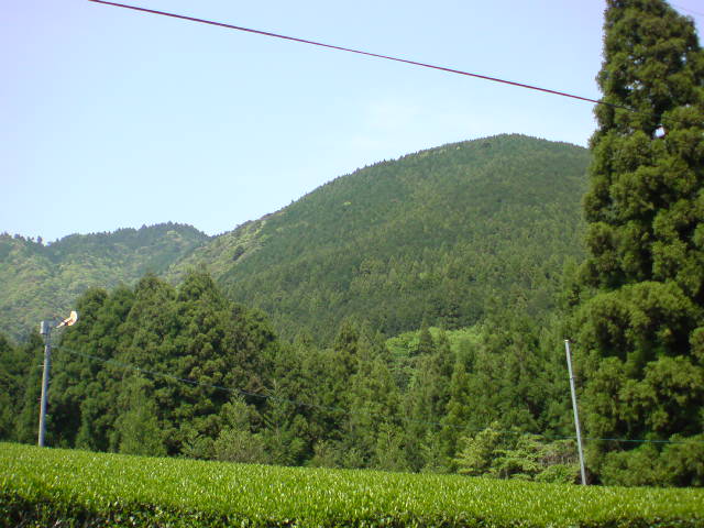 キャンプ場近くの山へハイキング_f0113727_97239.jpg