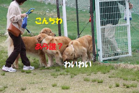f0114128_18184560.jpg