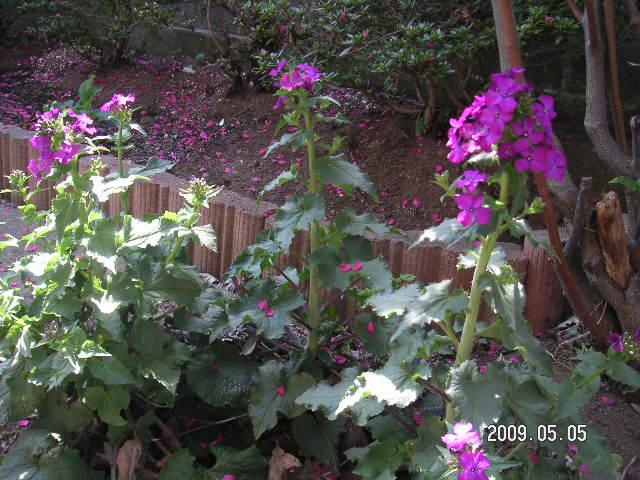 a0020929_161806.jpg