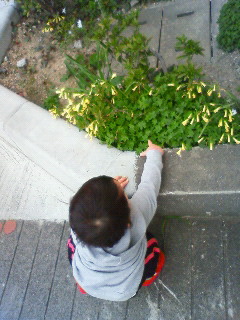 e0036931_140527.jpg