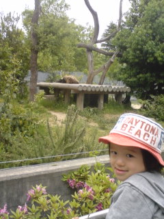 神戸王子動物園~パンダがいるのだ!~ #347_e0068533_1582166.jpg
