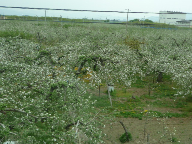 e0004334_2041328.jpg
