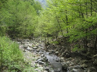 c0146040_14353114.jpg