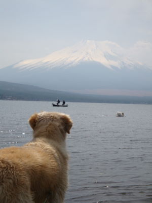 キャンプ最終日～山中湖編☆_e0158841_11214049.jpg