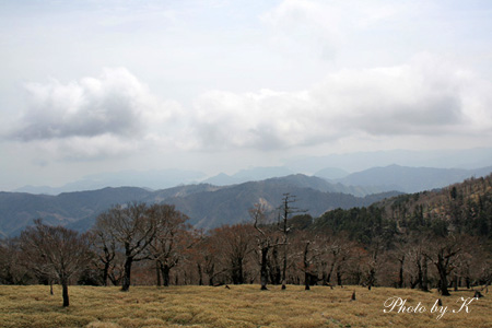 c0127748_333830.jpg