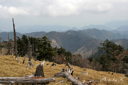 c0127748_344064.jpg