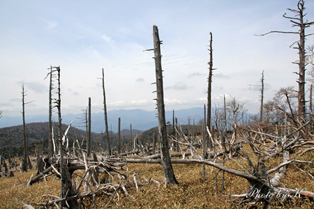 c0127748_3554.jpg