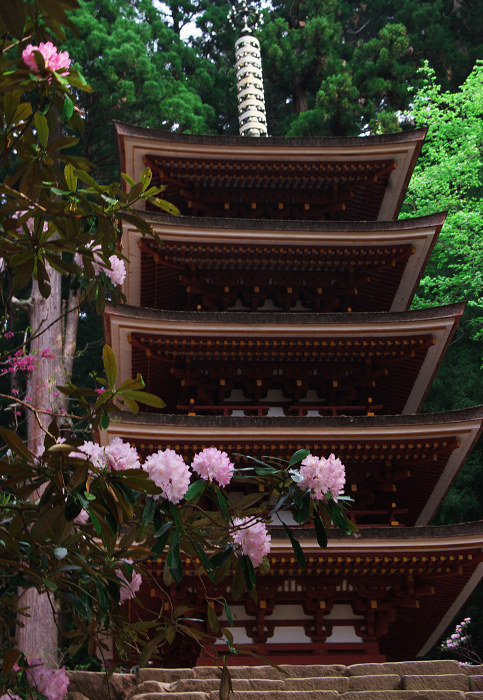 女人高野の春(室生寺)_f0155048_23442455.jpg