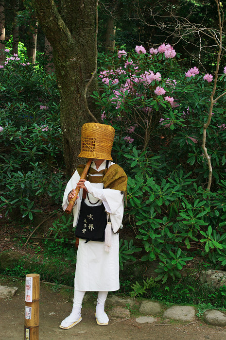 女人高野の春(室生寺)_f0155048_23504272.jpg