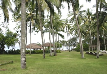 b0025850_21481920.jpg