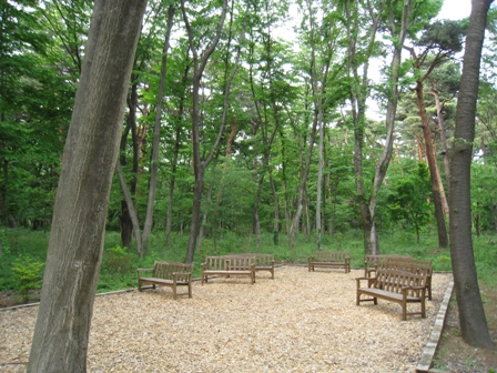e0028650_21202499.jpg