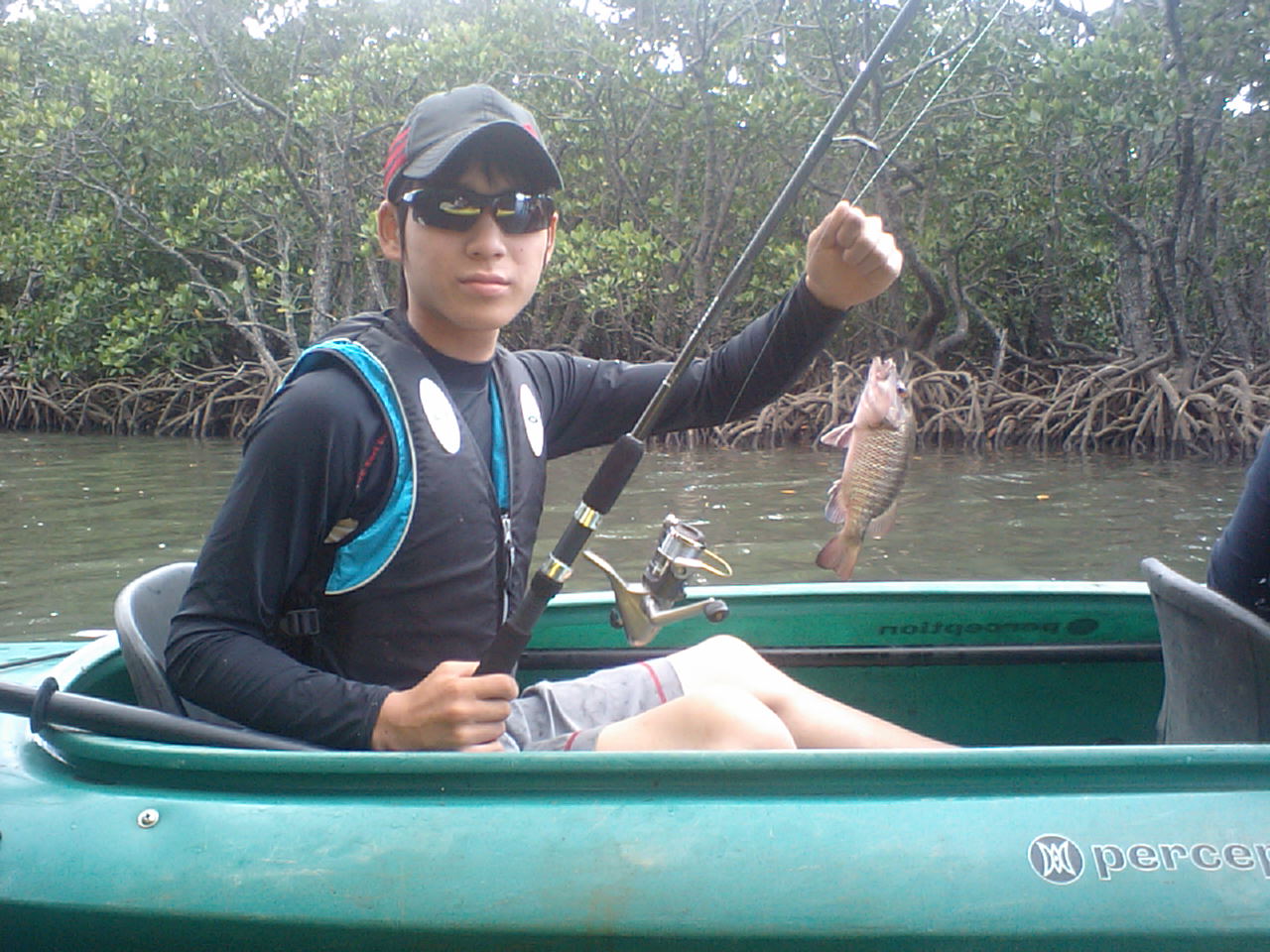 mangrove jack_e0134752_22192894.jpg