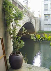 名古屋・堀川・桜橋・日の入り前_f0197754_143442.jpg