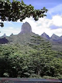 c0185356_16402432.jpg