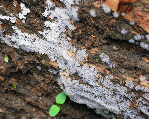 e0035757_1811125.jpg