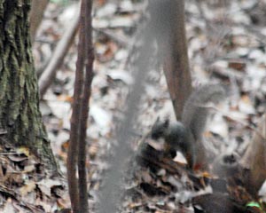 e0035757_181523.jpg