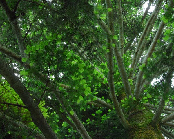 e0035757_1815688.jpg