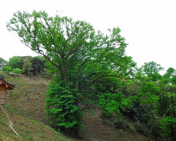 e0035757_1845584.jpg