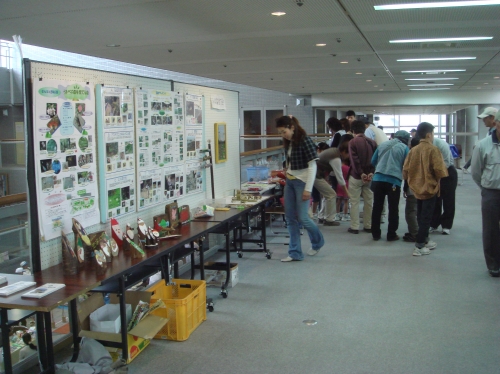 c0108460_1754123.jpg
