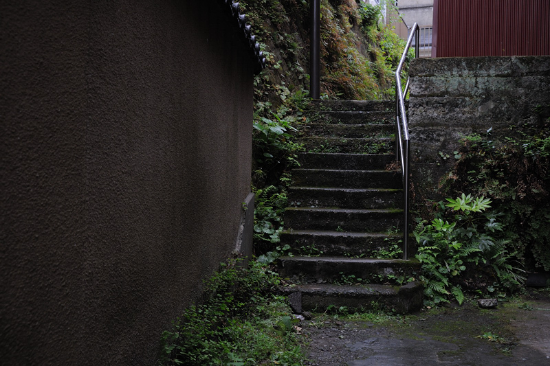 雨の江ノ島　～１_f0079061_2248381.jpg