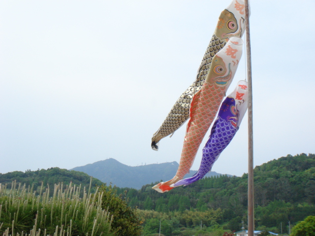 こどもの日_b0124462_853087.jpg