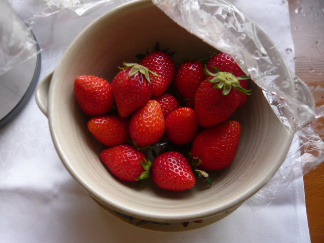 c0100865_7393770.jpg