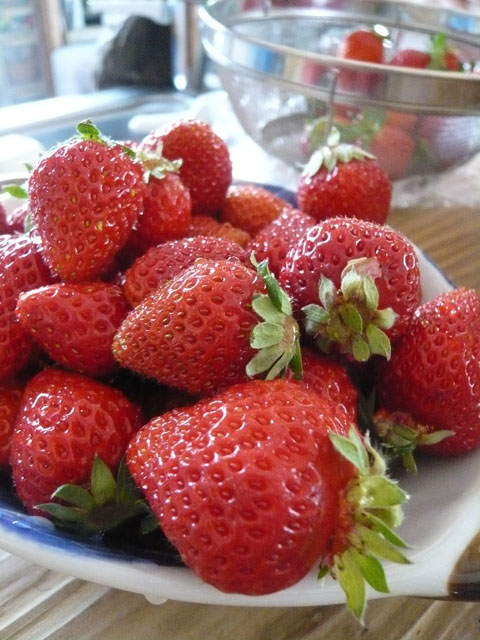 f0142768_2346431.jpg