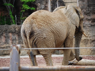 多摩動物公園　③_d0116269_82383.jpg