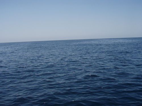 ボーズ_a0077071_1537185.jpg