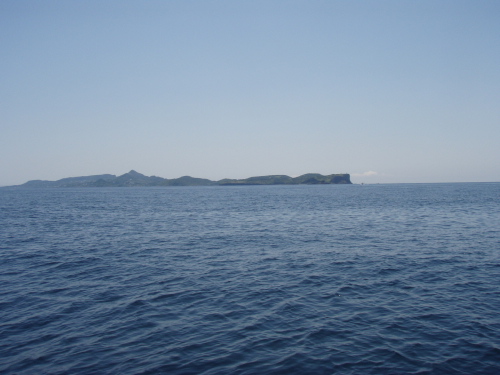 ボーズ_a0077071_15405189.jpg
