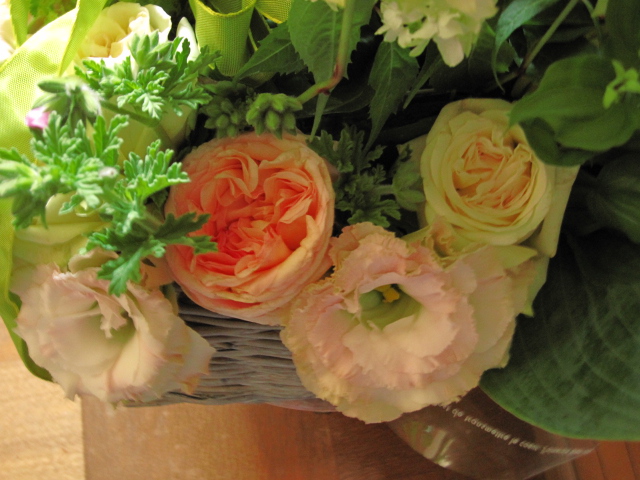 b0074377_185247.jpg