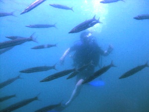 f0144385_2155512.jpg