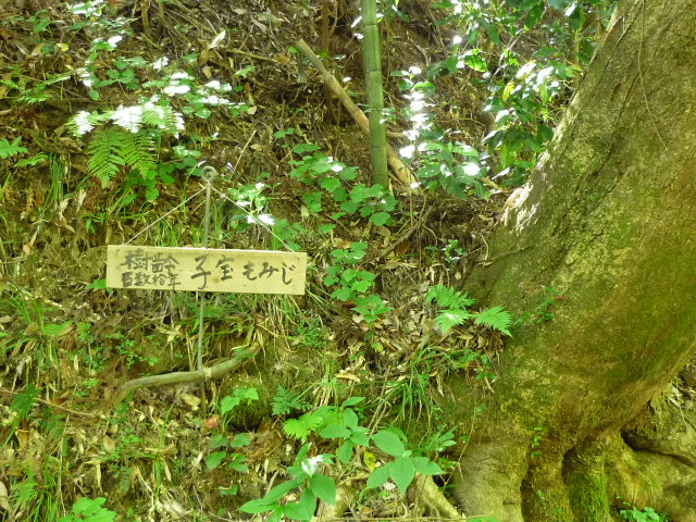 f0198186_131566.jpg