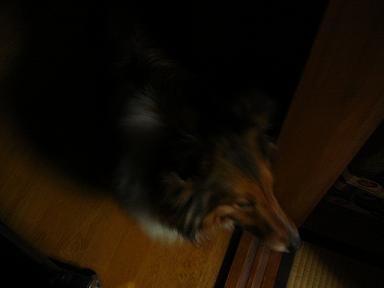 c0189388_1555437.jpg