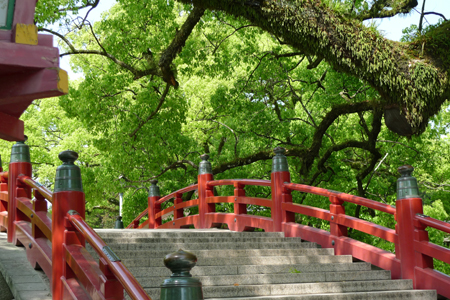 長崎~太宰府天満宮_b0142989_23302151.jpg