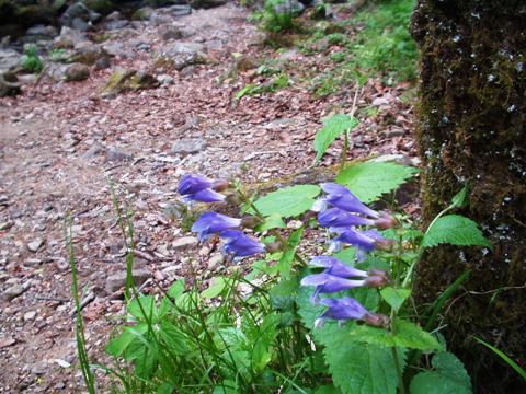 f0018790_23294331.jpg