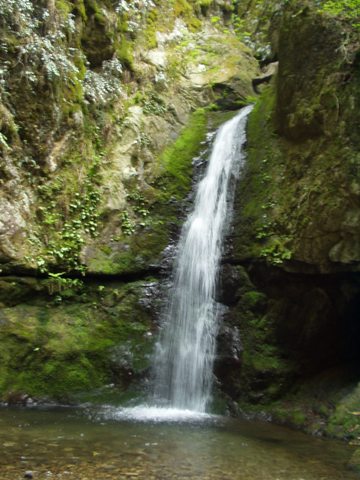 f0018790_2330858.jpg