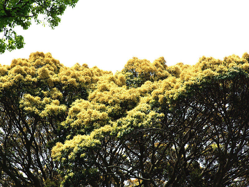 f0204094_09235.jpg