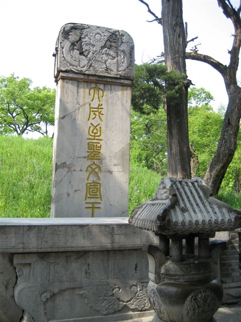 b0098096_1873123.jpg
