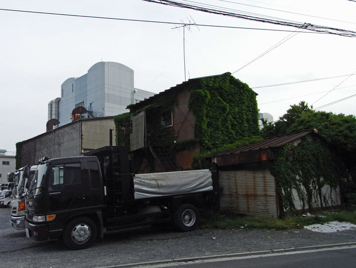 d0134896_14102100.jpg