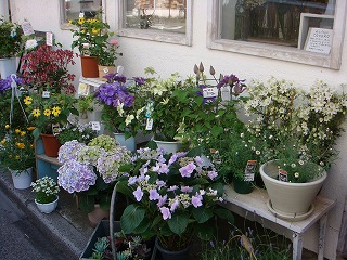 f0206797_375973.jpg