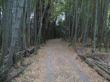 里山ショートトレイル巡り　その２_a0117599_0553945.jpg