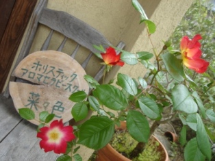 b0128101_1345364.jpg