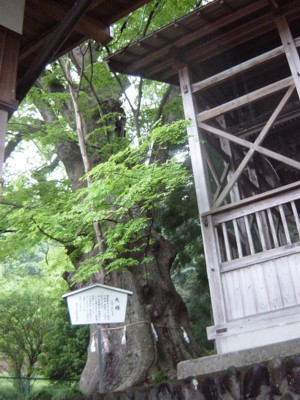 b0135601_8444971.jpg