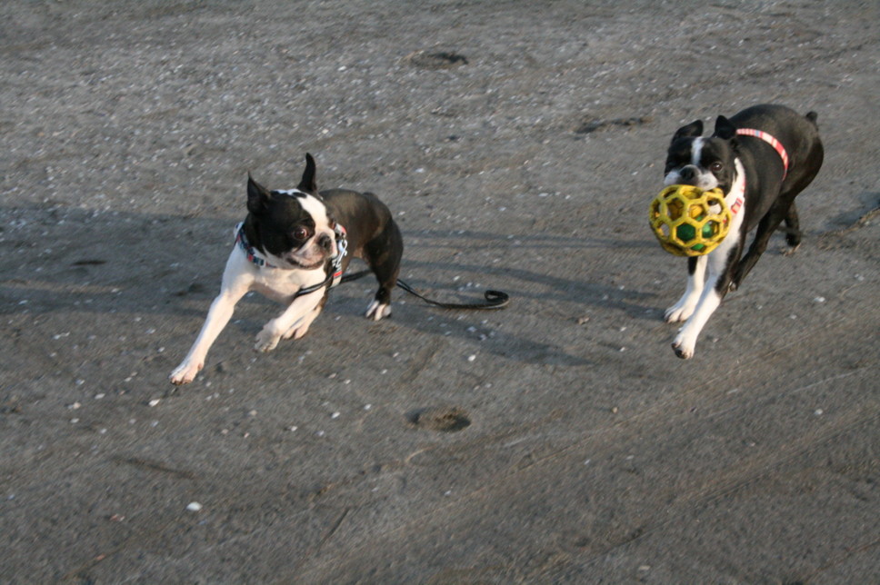 d0070702_334136.jpg