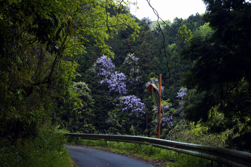 c0043403_22503416.jpg