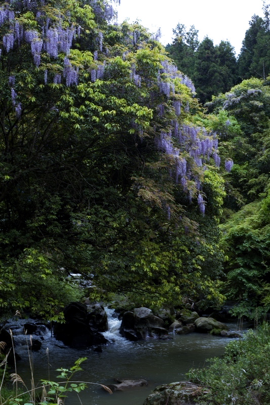 c0043403_22554652.jpg