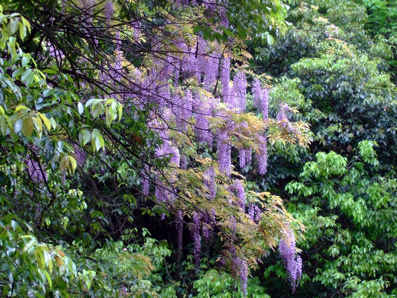 c0043403_2352384.jpg